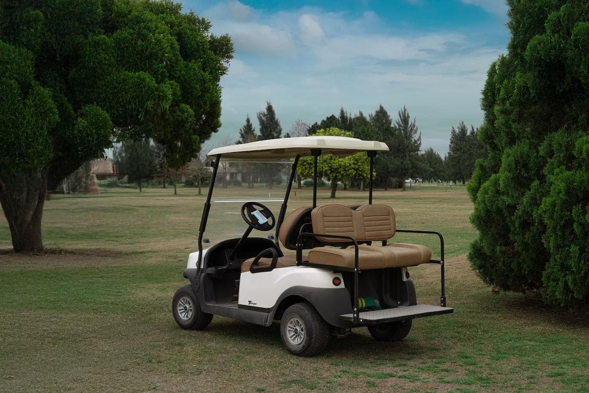 Fotógrafa - Sabrina Guzzo